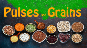 pulses category lathiya farm